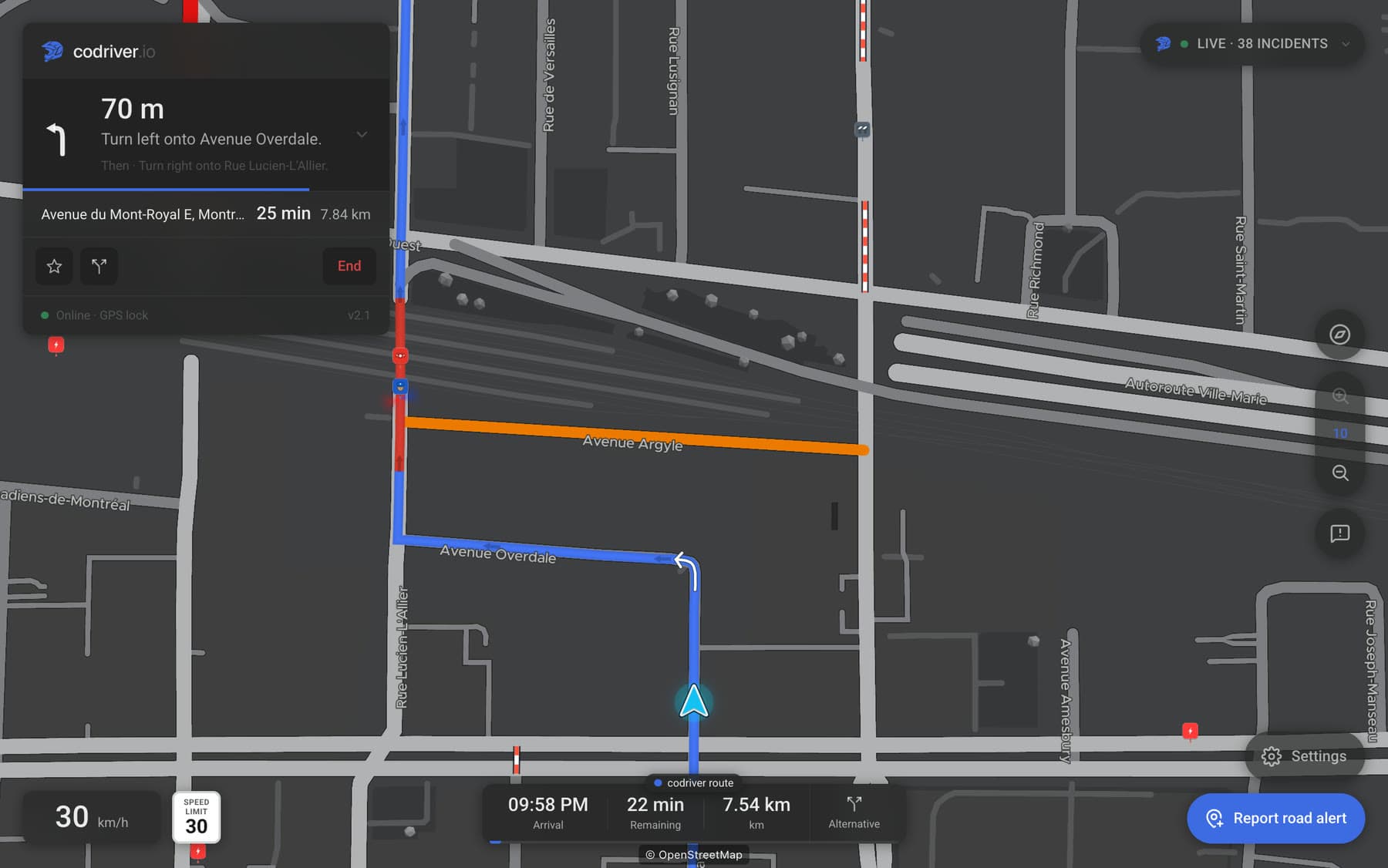The codriver map in Track view on a Tesla screen, mid-route, with the car on its line and the road labels along the streets they name.